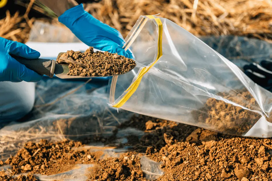 soil